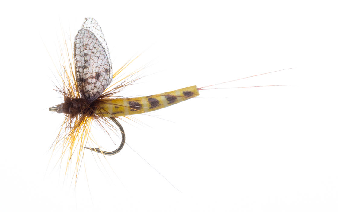Vania Realistic Mayfly Danica SP Mouche sèche