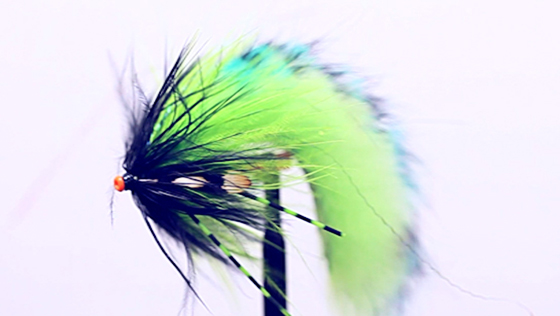 Vidéo de montage : Zonker Stripe Tube