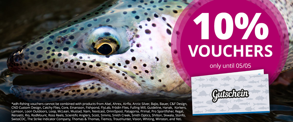 10% off Vouchers until 5/5