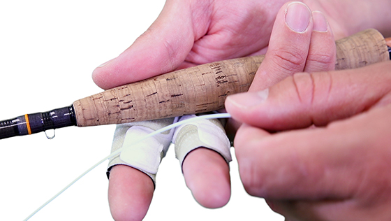 Stripee Stripping Guard - Présentation du produit