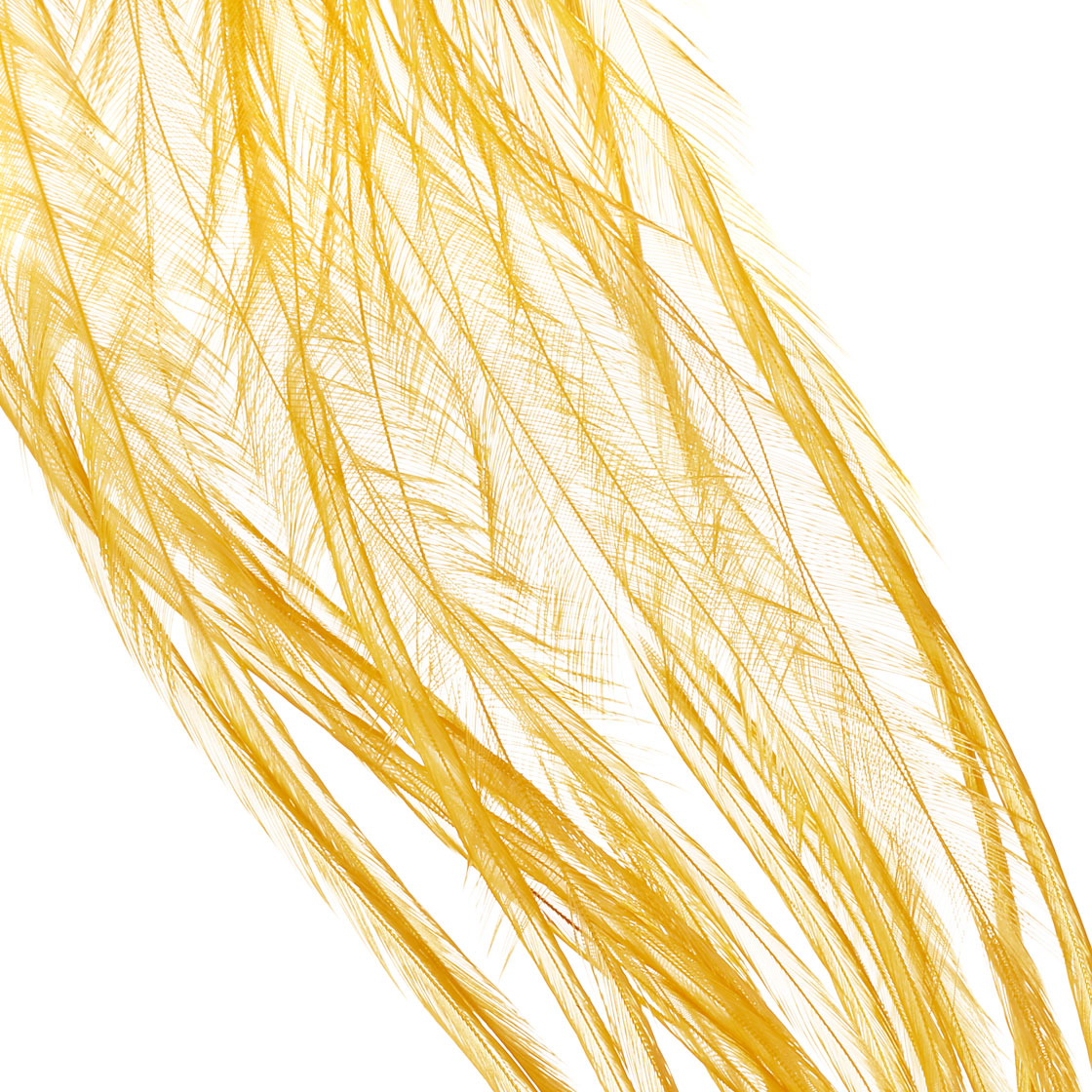 white dyed golden straw