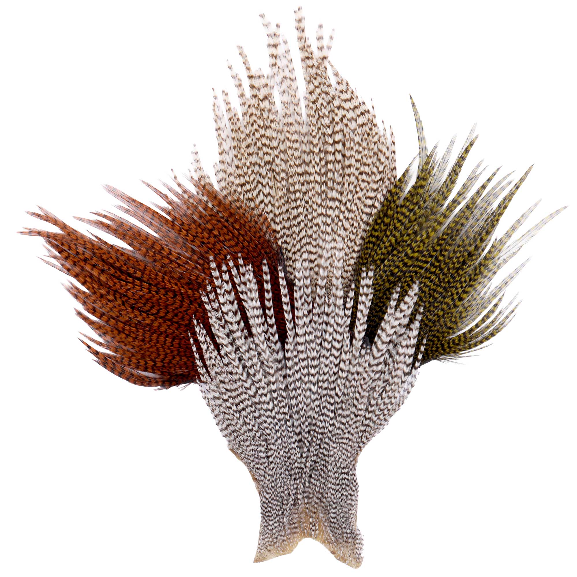 Wapsi Ewing Neck Tip Grizzly Premium Quality