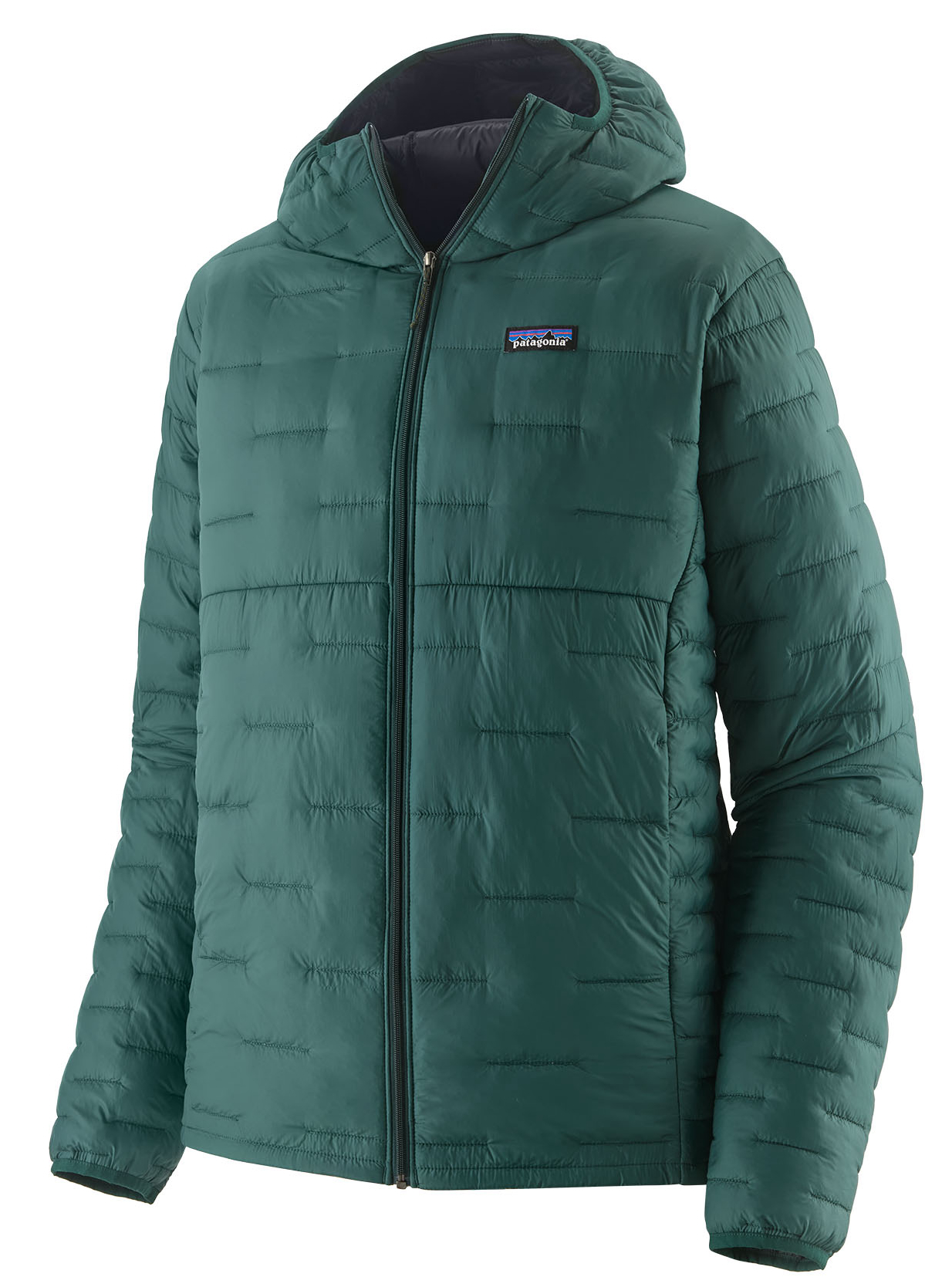 Patagonia Micro Puff Hoody CASG