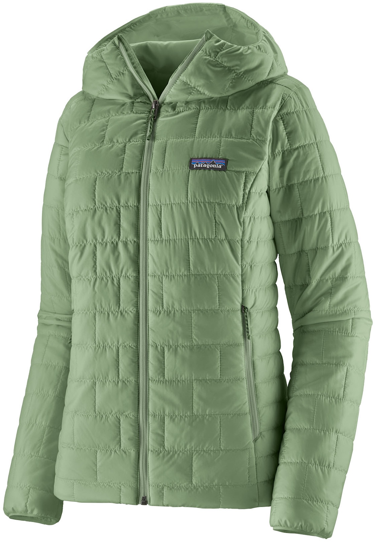 Patagonia W's Nano Puff Hoody ELGR