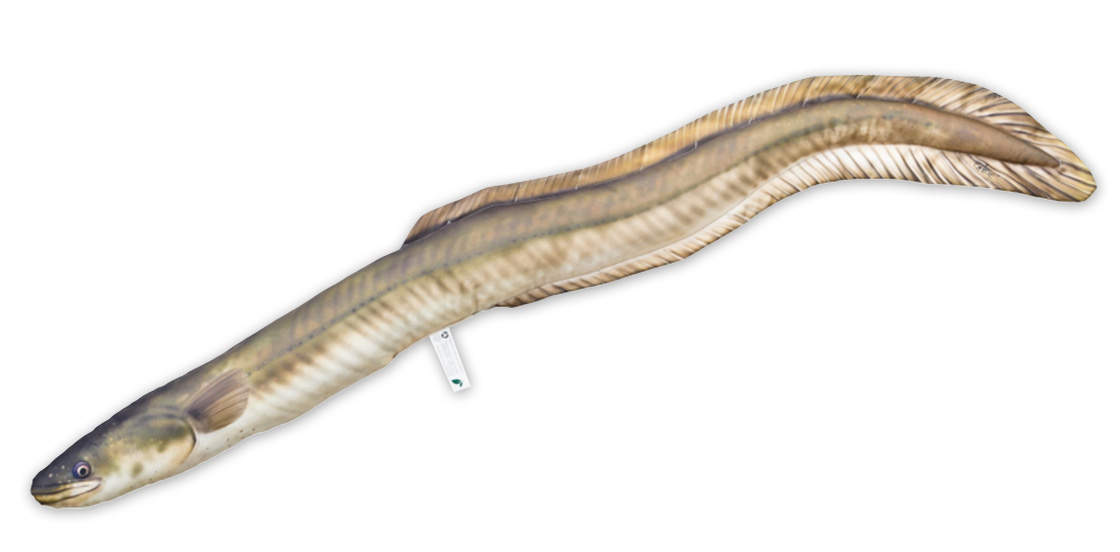 Coussin poisson Doudou anguille 115cm