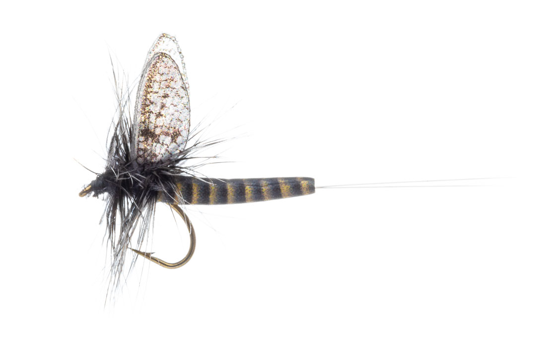 Vania Realistic Mayfly Blue Quill Mouche sèche