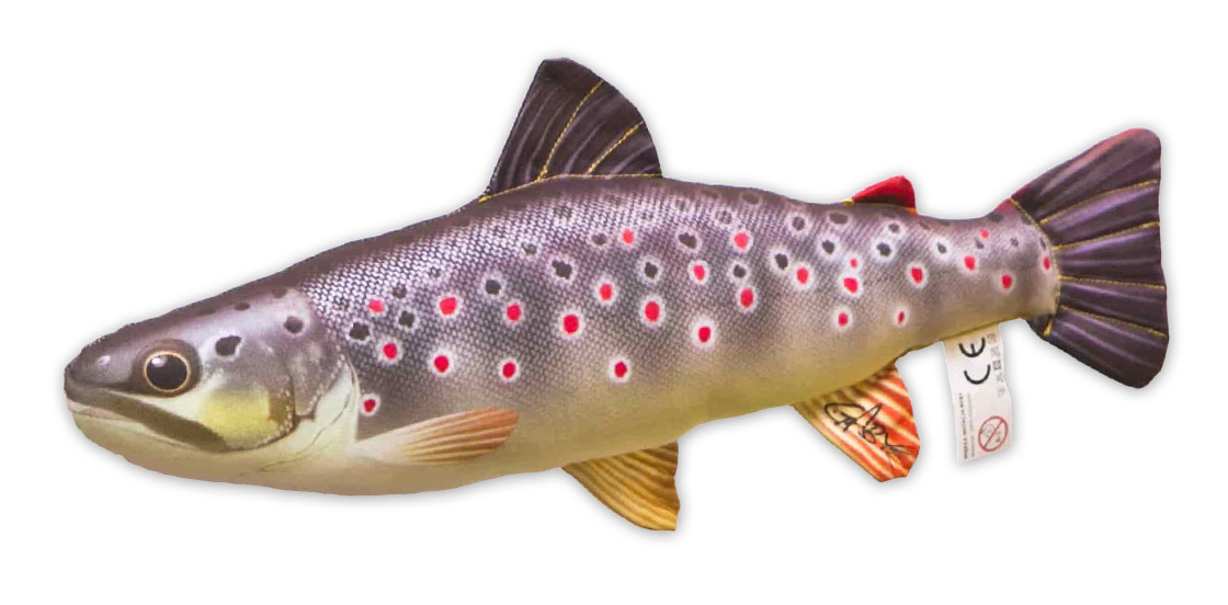 Oreiller de poisson Doudou truite de rivière 35cm