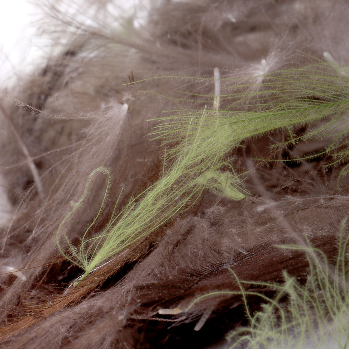 Fulling Mill CDC Feathers plumes 3g Bulk Pack