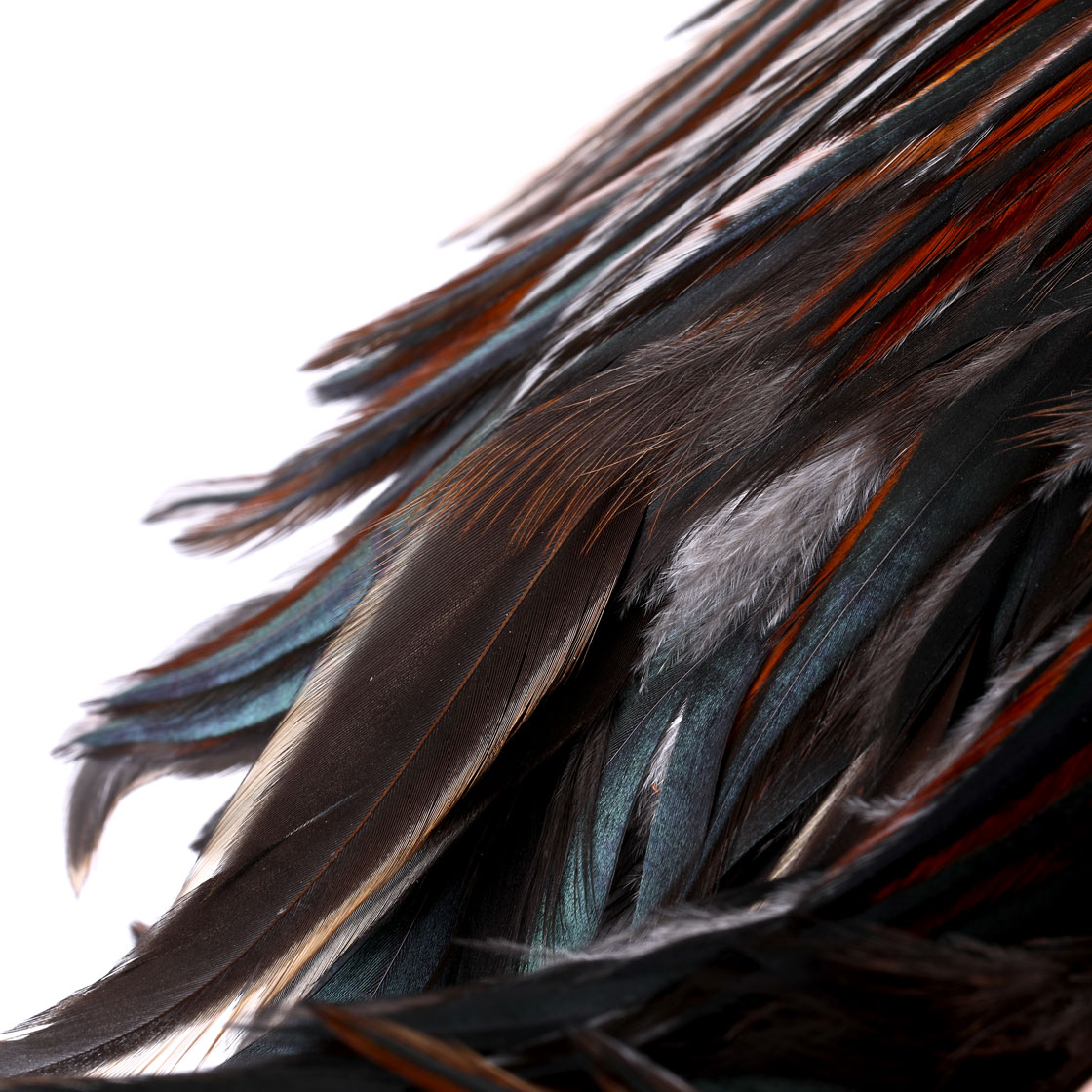 P-25376_Whiting-4-B-s-Rooster-Saddle_detail_7