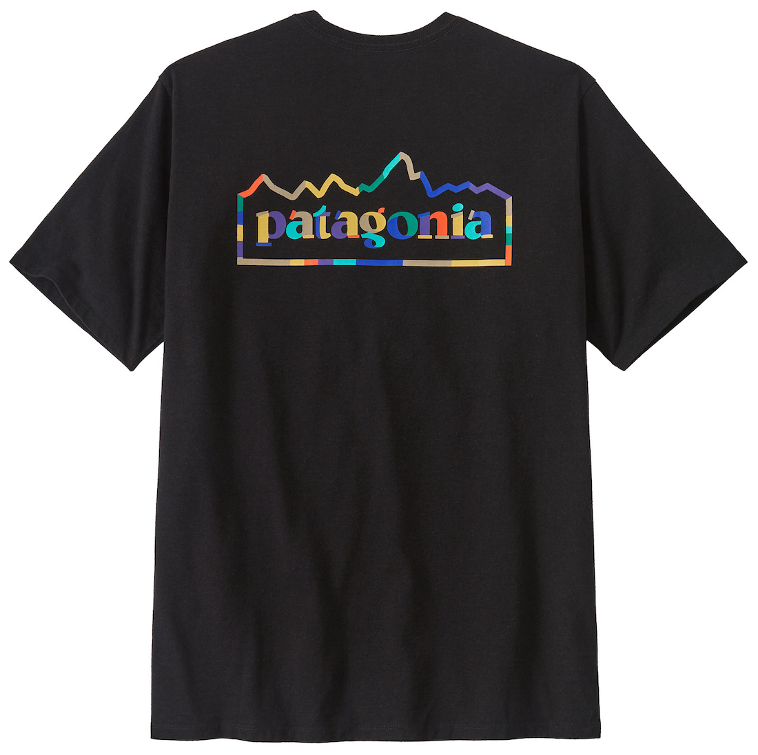 Patagonia Unity Fitz Responsibili T-shirt INBK