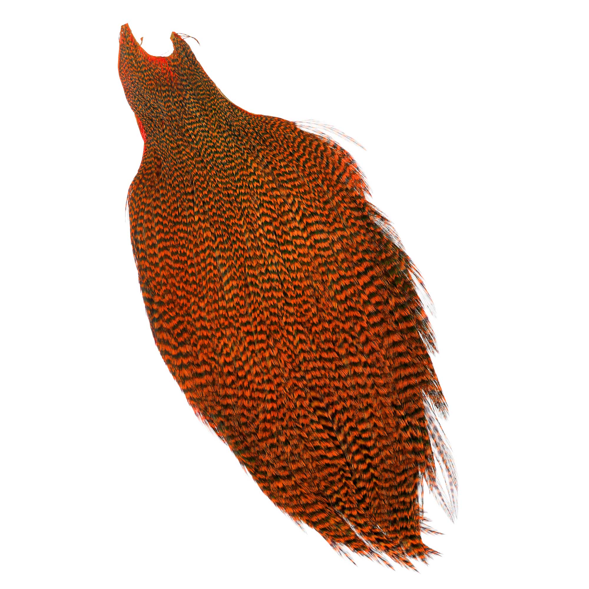 Wapsi Ewing Grizzly Rooster Capsules entières Qualité supérieure