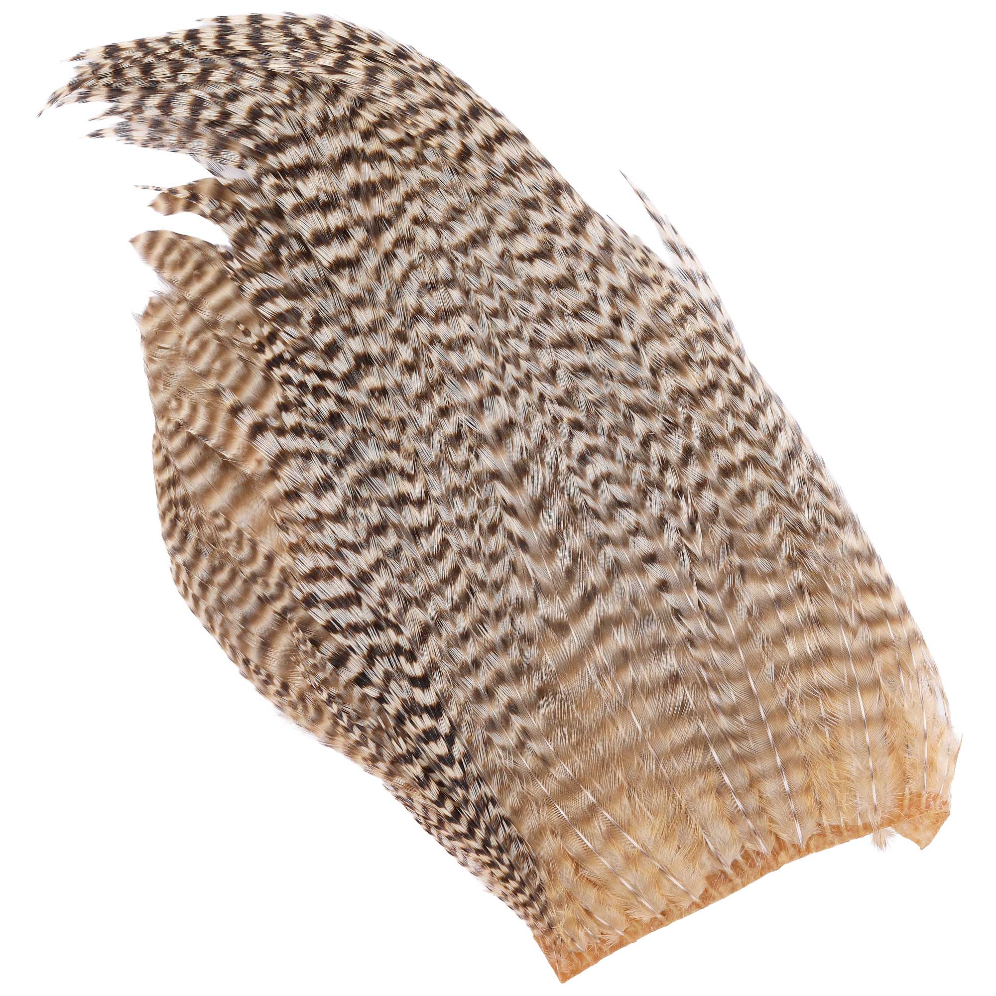 Wapsi Ewing Grizzly Deceiver Patch Premium Quality