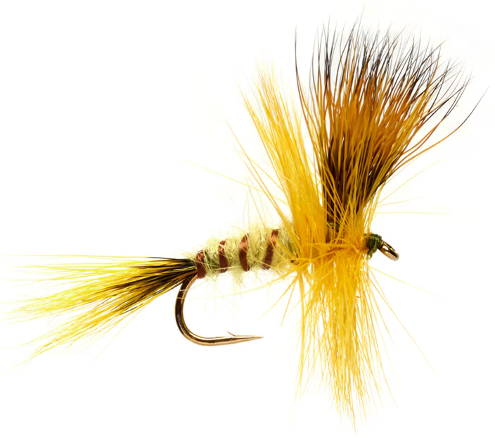 Fulling Mill Tactical Dryfly Jackie's Yellow Mayfly #10 Mouche de mai