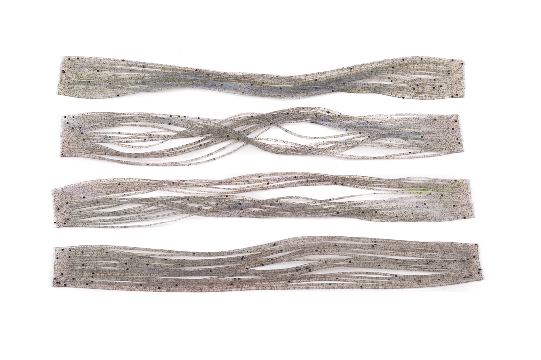 olive dub turtle grass