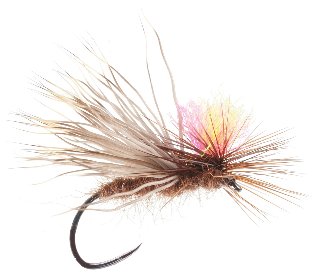 Soldarini Fly Tackle mouche sèche - Bicolour Parachute Caddis
