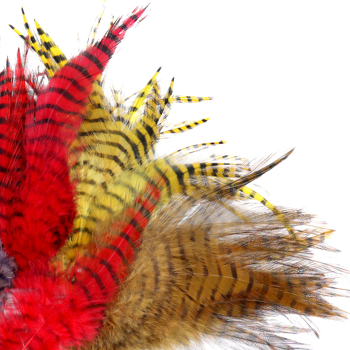 MFC Barred Saddle Hackle Plumes grizzly
