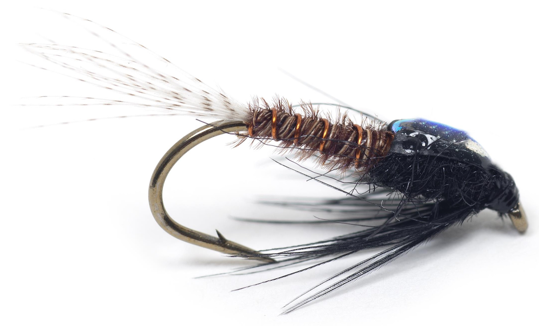 Guideline Nymphes - DK Brown Flashback PTN