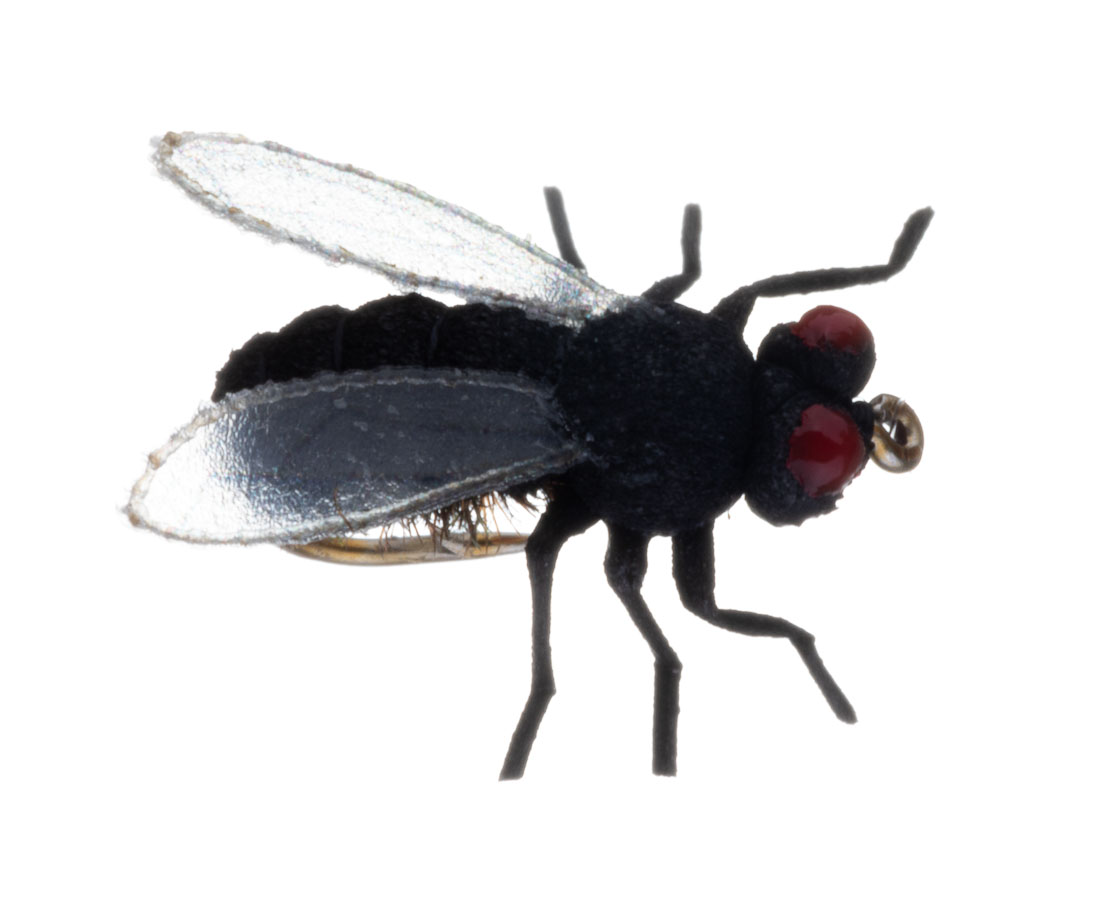 Vania Realistic Black Fly mouche sèche