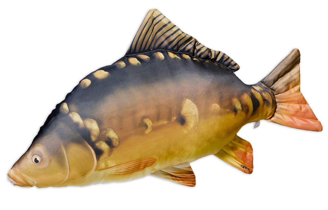 Coussin poisson doudou miroir carpe 90cm