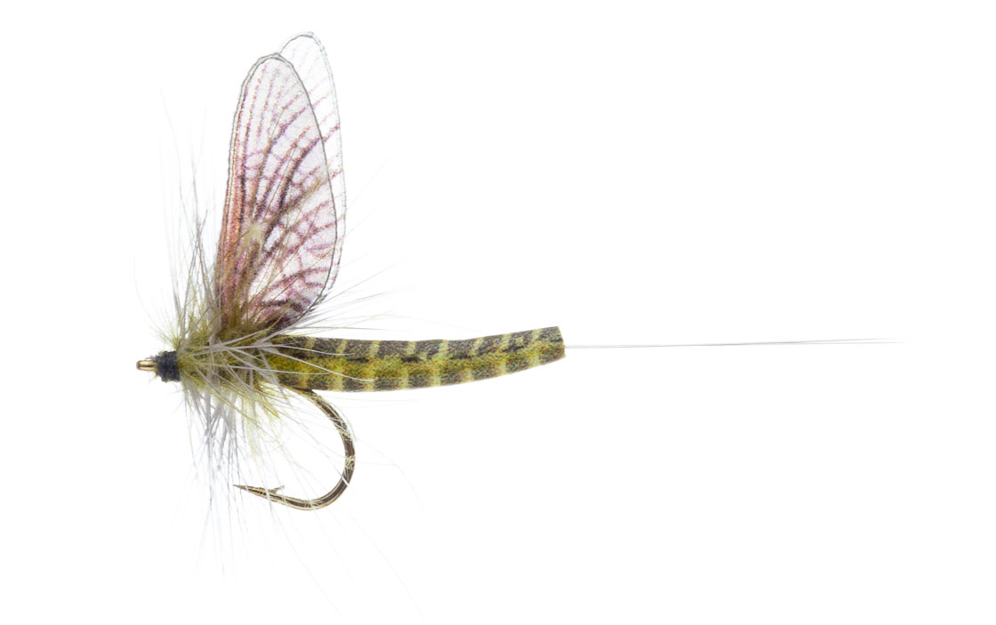 Vania Realistic Mayfly Green Drake Western CDC Mouche sèche