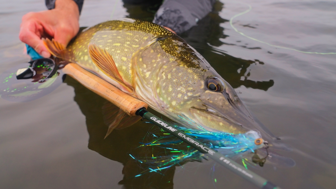 Blog_Guideline_Embrace_Pike_Kit_9 - Wir testen: Guideline Embrace Pike Kit - Ready To Fish!