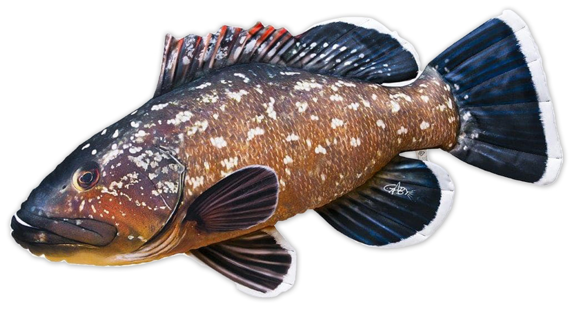Coussin poisson doudou Grouper 100cm