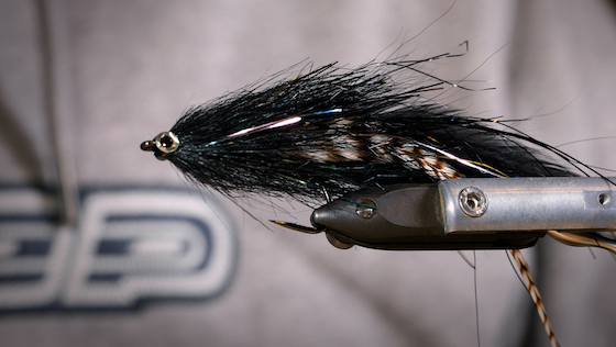 Vidéo de montage 'Glitter Goby' Hecht-Streamer avec Paulo Hoffmann