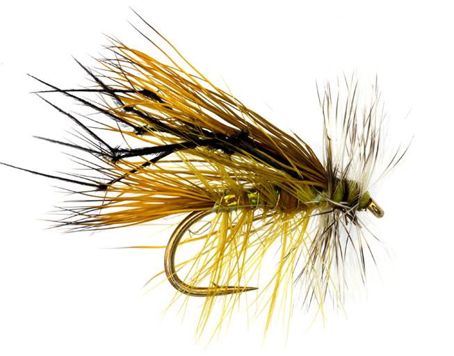 Mouche sèche Fulling Mill - Jackie's Hot Head Olive Stimulator