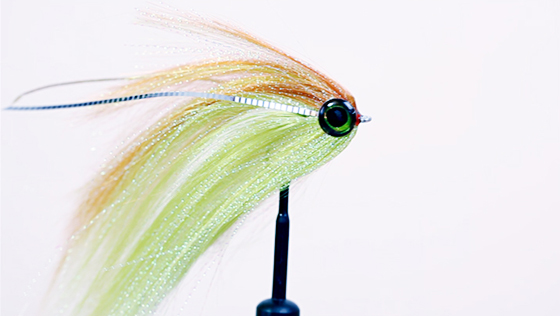 Vidéo de montage : Flat Wing Streamer