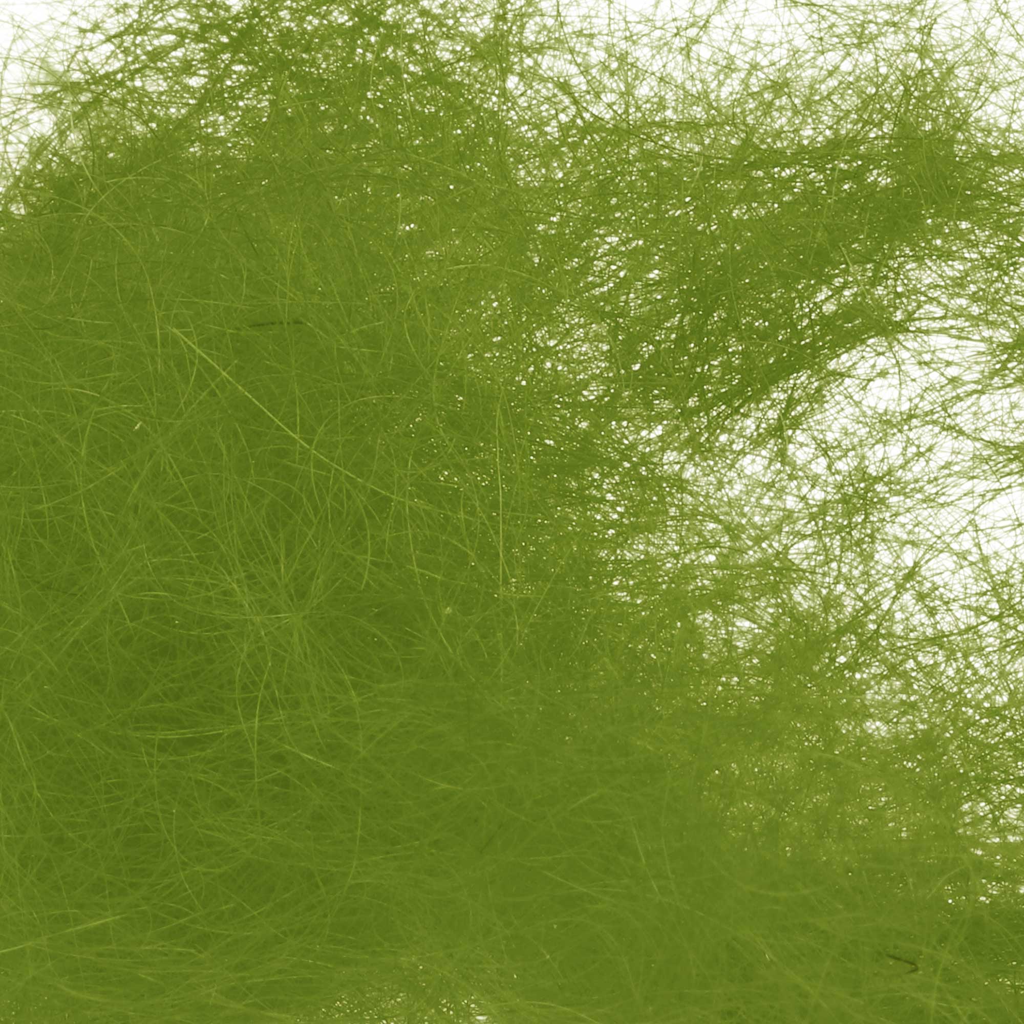 Soldarini Seal Fur Dubbing Phoque