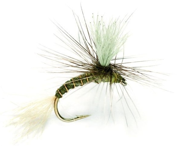Fulling Mill mouche sèche - Goddard Emerger Olive