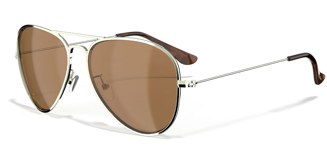 Leech ATW1 Lunettes polarisées (Copper)