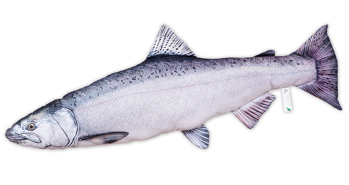 Coussin poisson Doudou Chinook saumon royal 90cm