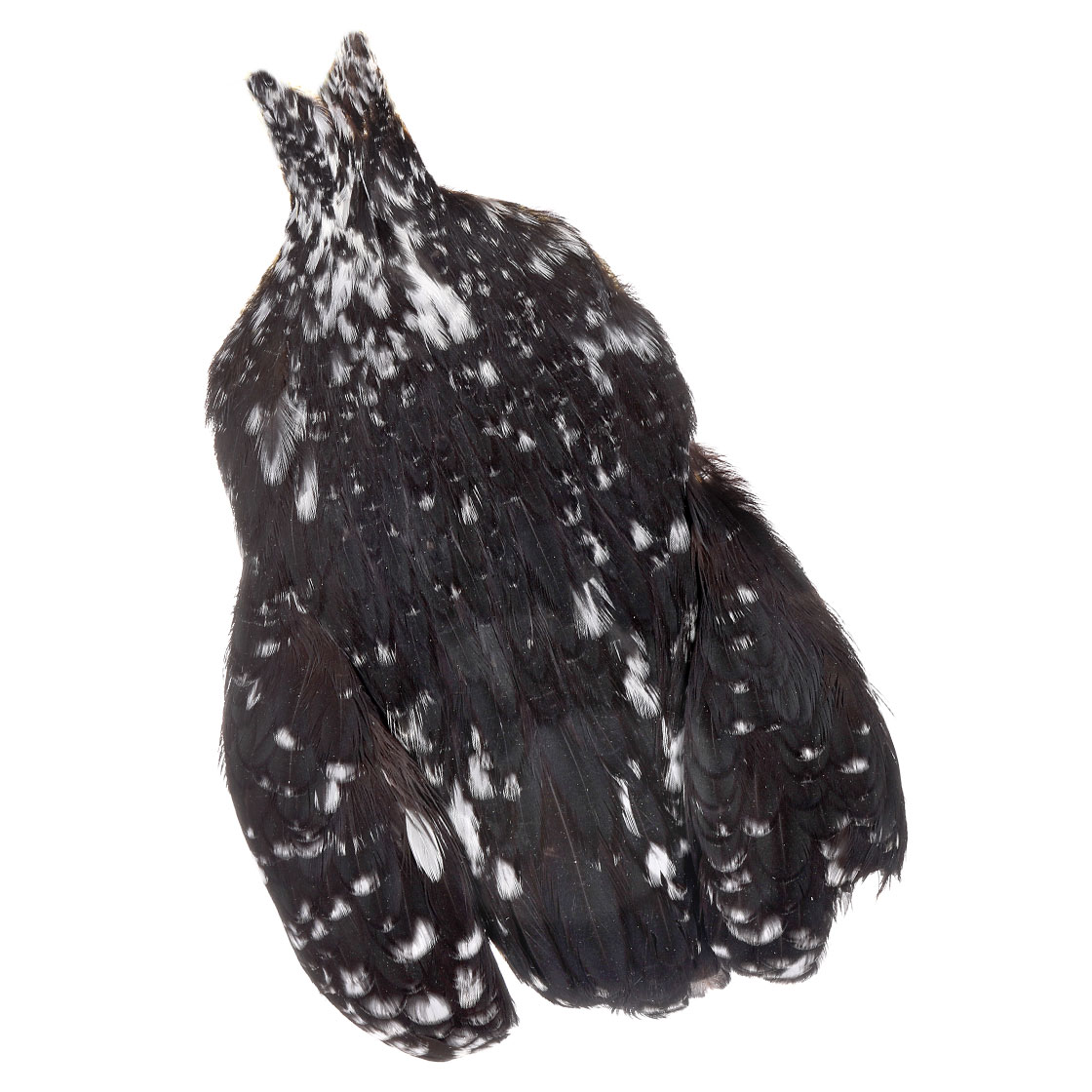 unique variant