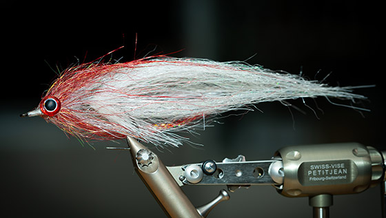 Vidéo de montage « Pike Flesh » Streamer pour brochet avec Florian Gräser