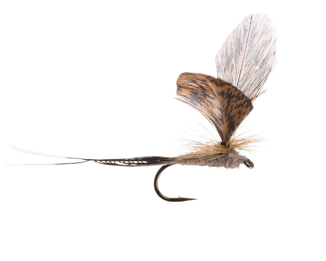 Mouche sèche - Ephemerella Danica Dun cream / brown