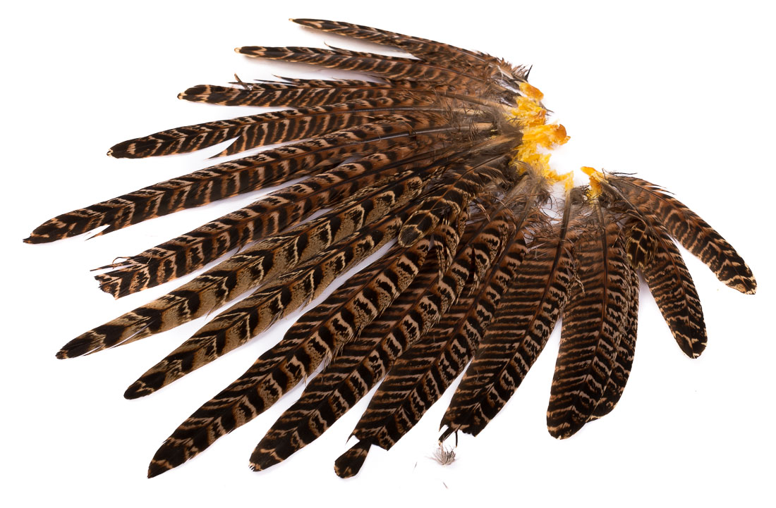 Veniard Hen Pheasant queue complète