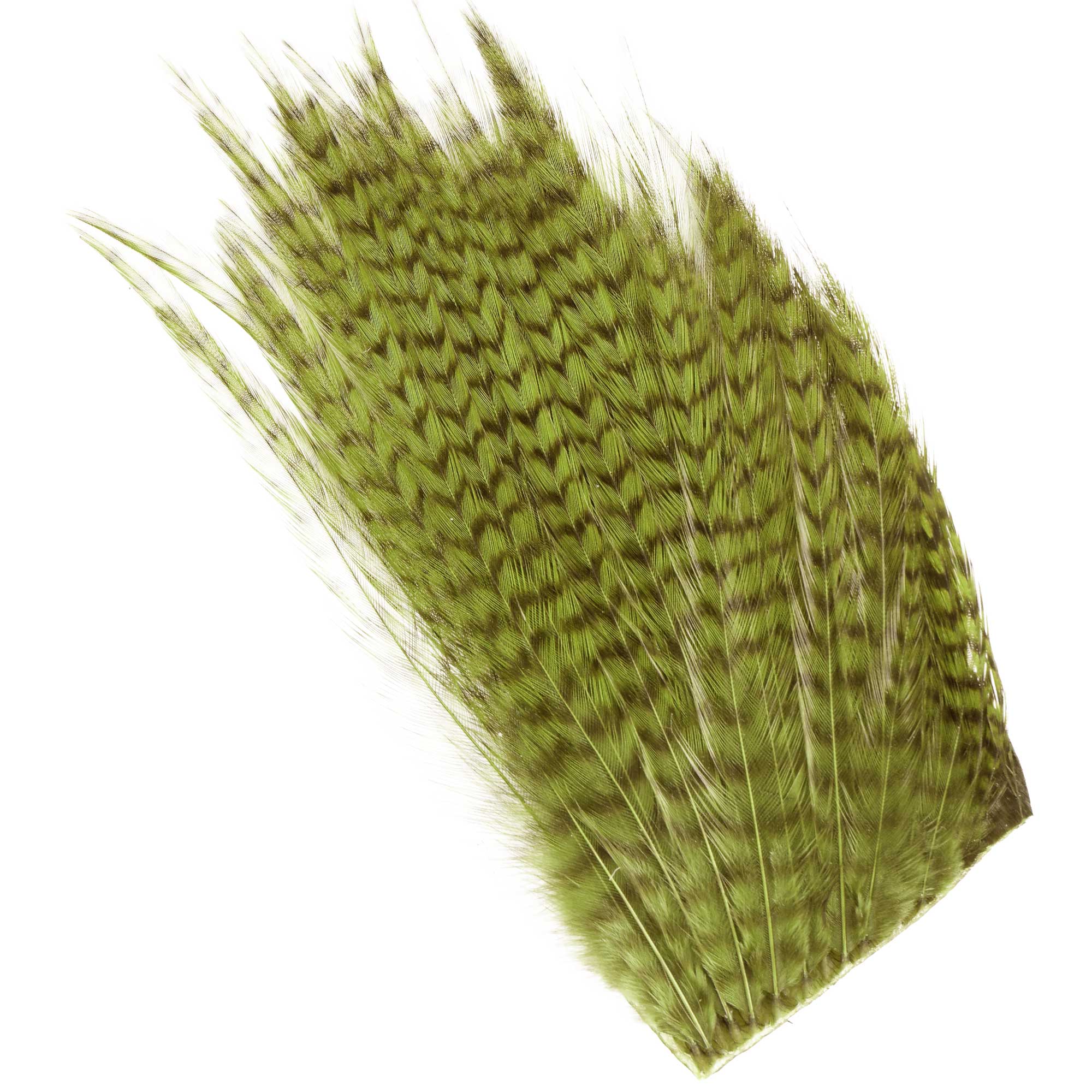 Wapsi Ewing Sweet Spot Grizzly Qualité supérieure