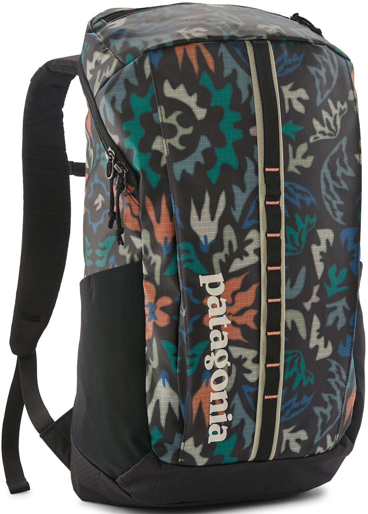 Patagonia Black Hole Pack 25L sac à dos KALB