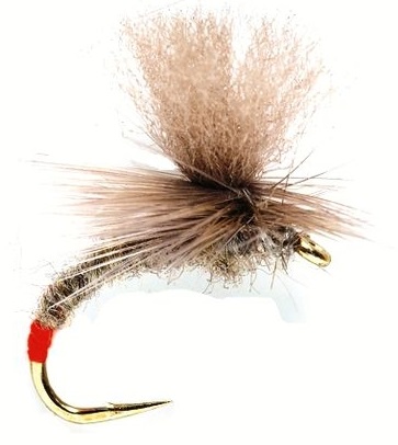 Fulling Mill mouche sèche - Infallible