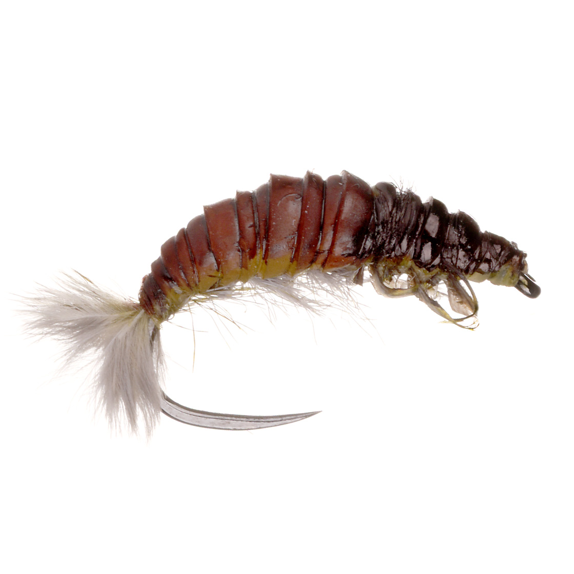 Nymphe de Fulling Mill - Oliver Edwards Hydropsyche Larva