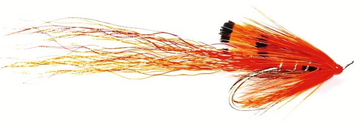 Fulling Mill Ally's Shrimp Special Double