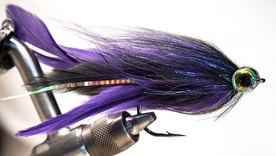 Vidéo de montage : Purple Brush