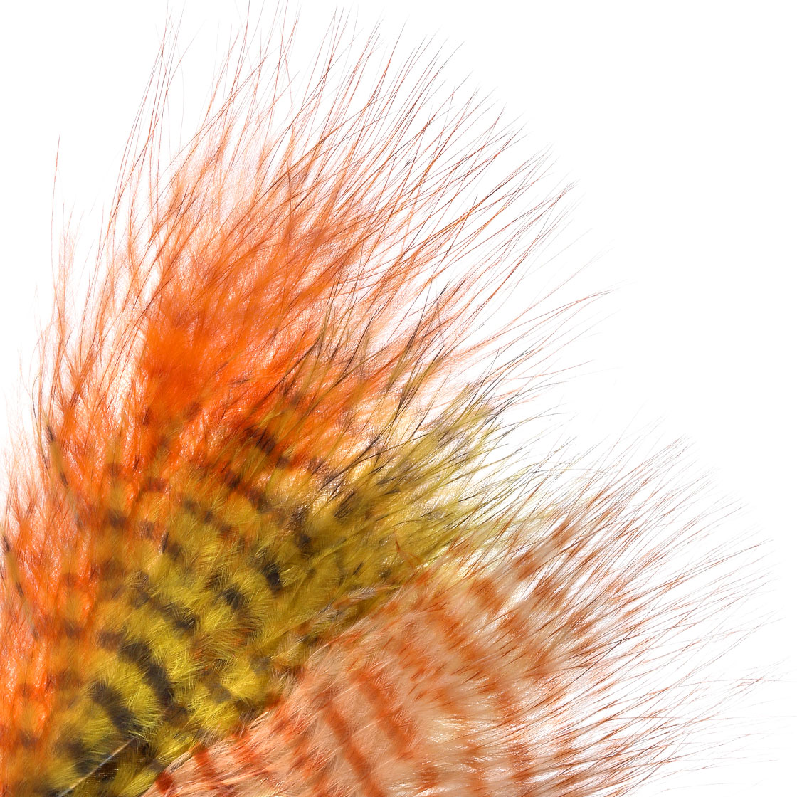 MFC Mini Barred Marabou Grizzly Mini plumes de marabou