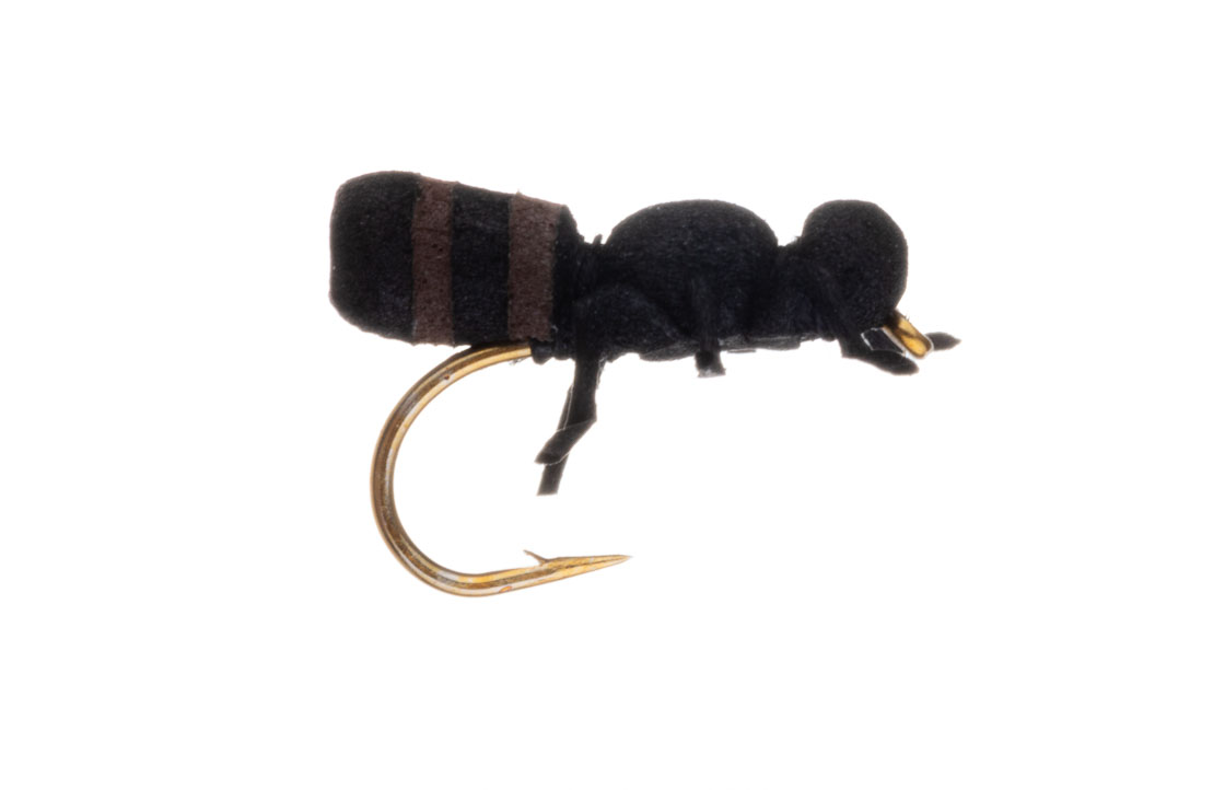 Vania Realistic True Ant Fourmi mouche sèche cinnamon