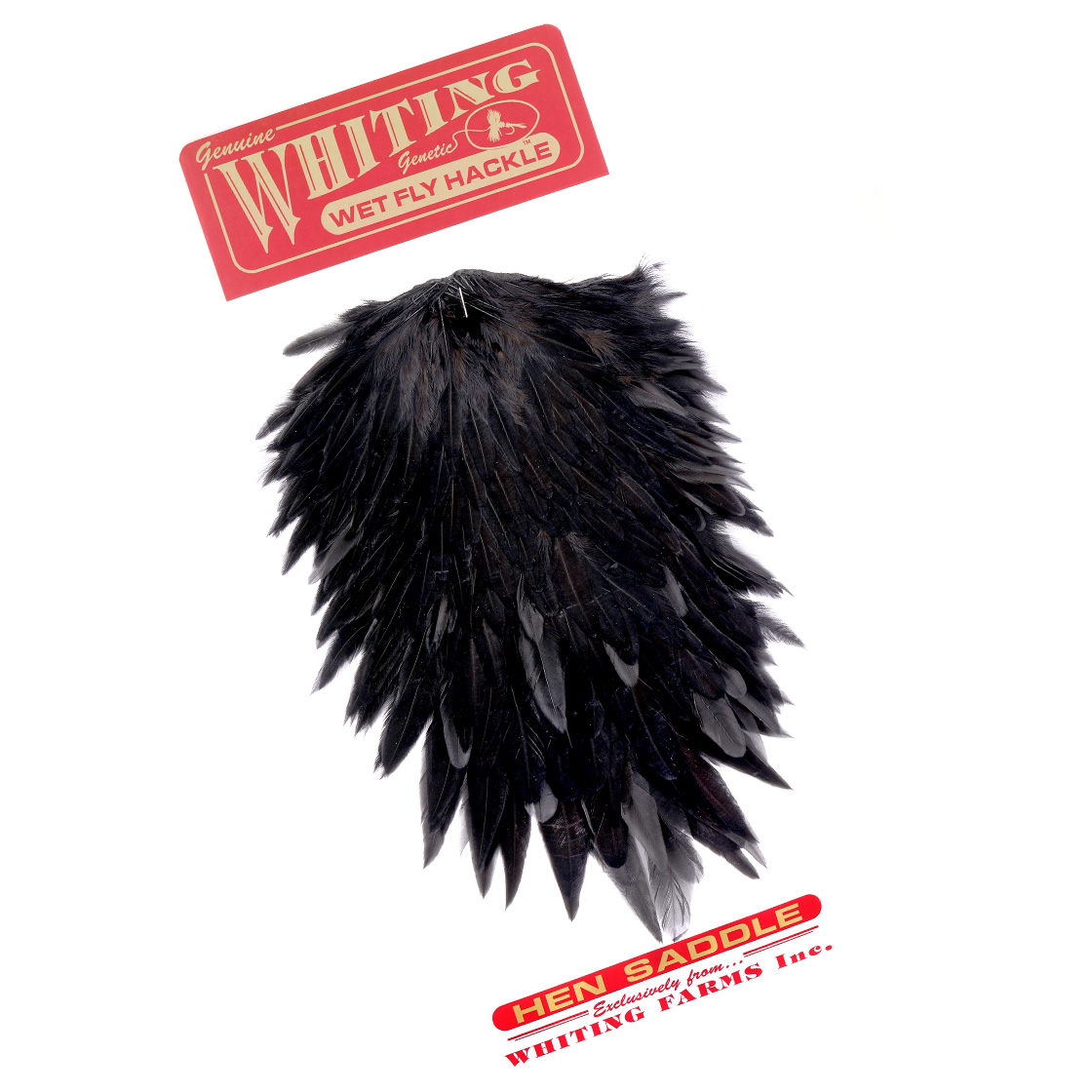Whiting Hen Saddle Noir