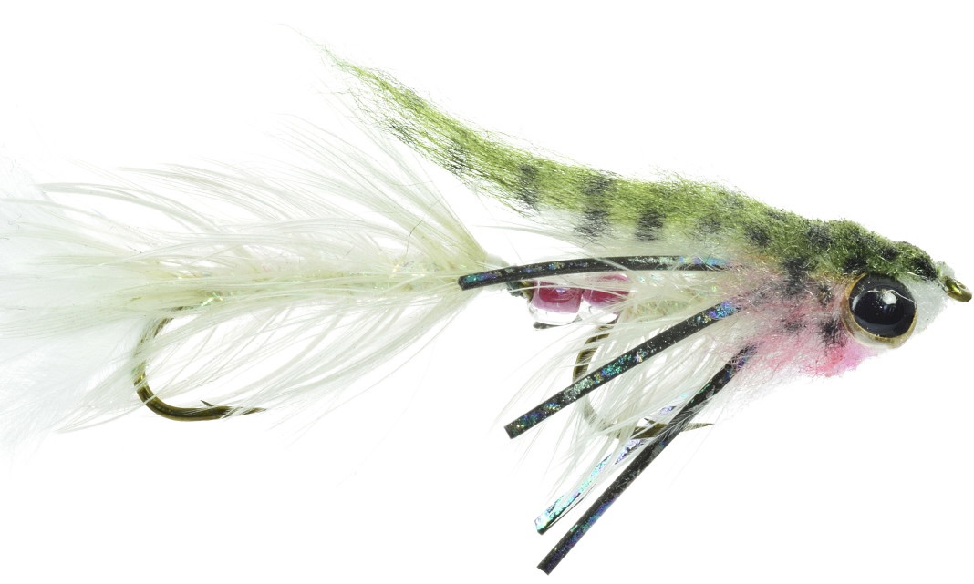 Umpqua Streamer Bébé Gonga Arc-en-ciel #8