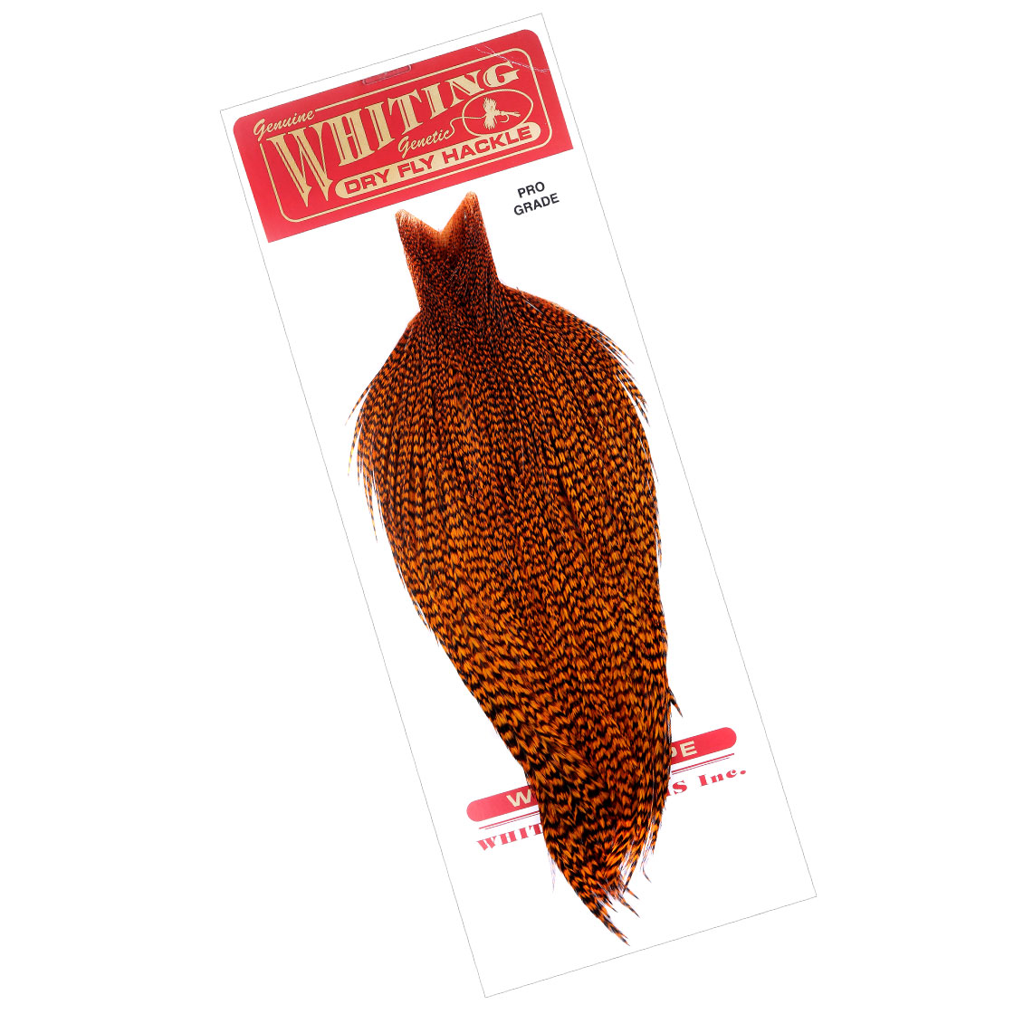 grizzly dyed burnt orange