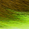 fluo. chartreuse