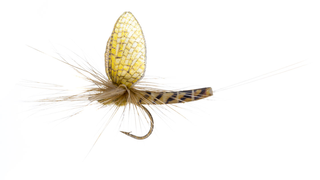 Vania Realistic Mayfly Hexagenia mouche sèche